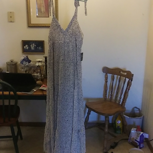 Gorgeous New Express Maxi Dress Size Medium. - Picture 3 of 7